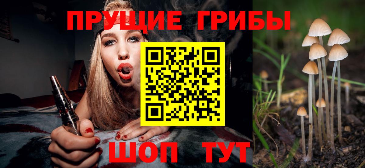Галлюциногенные грибы Cubensis Гуково