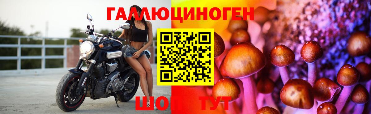 Гуково  Галлюциногенные грибы Psilocybine cubensis  Вход с VPN 